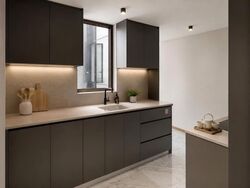 The Landmark (D3), Condominium #606375281